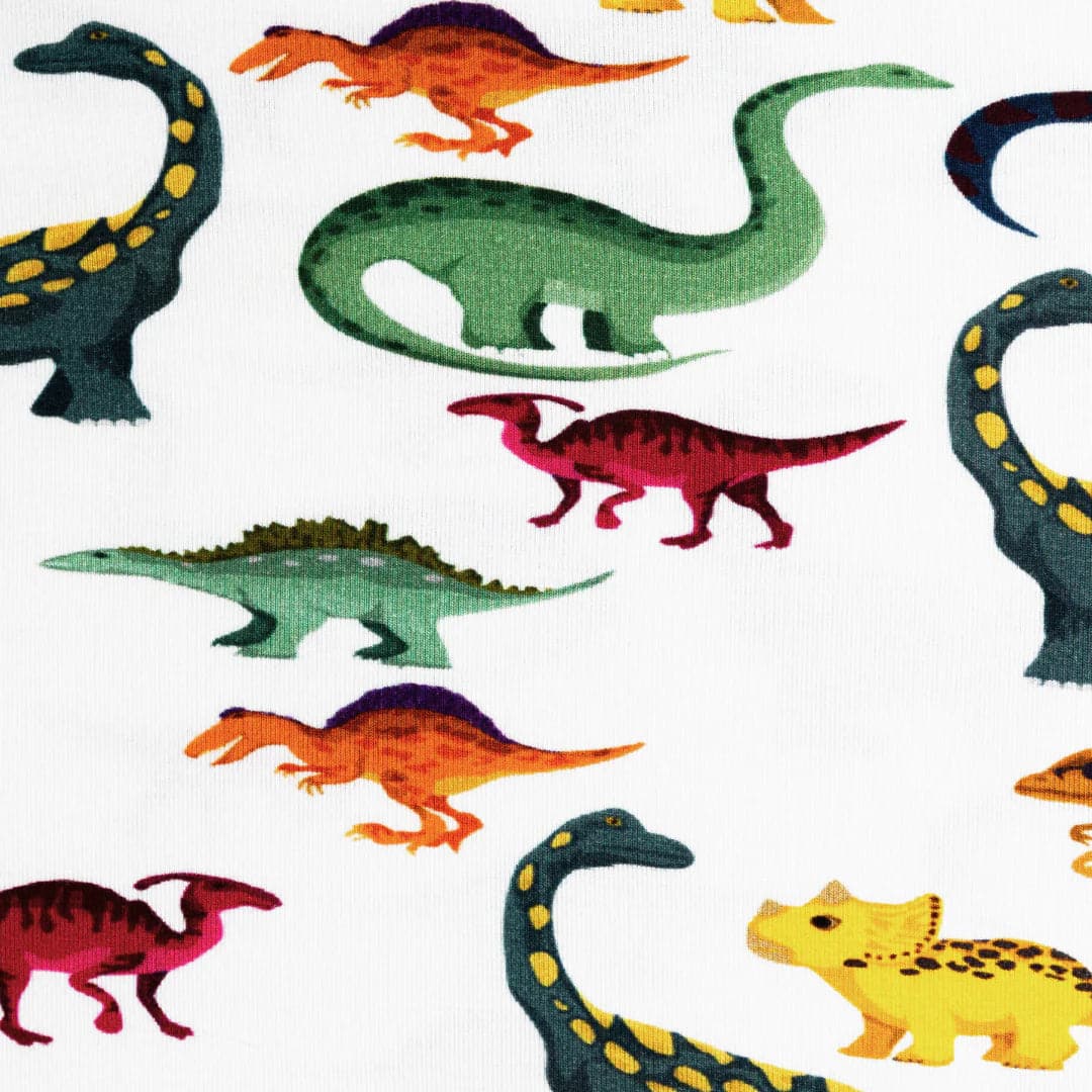 Short Sleeve - Dino Dreamers Bundle