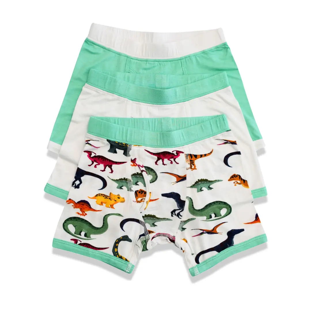 Dino Dreamers Underwear