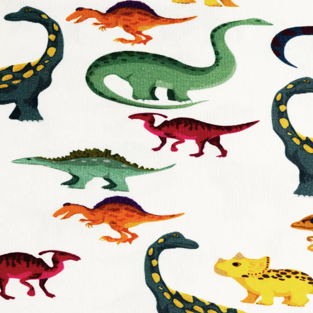 Dino Dreamers Underwear