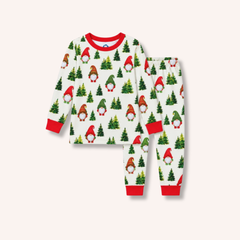Gnome for Holidays